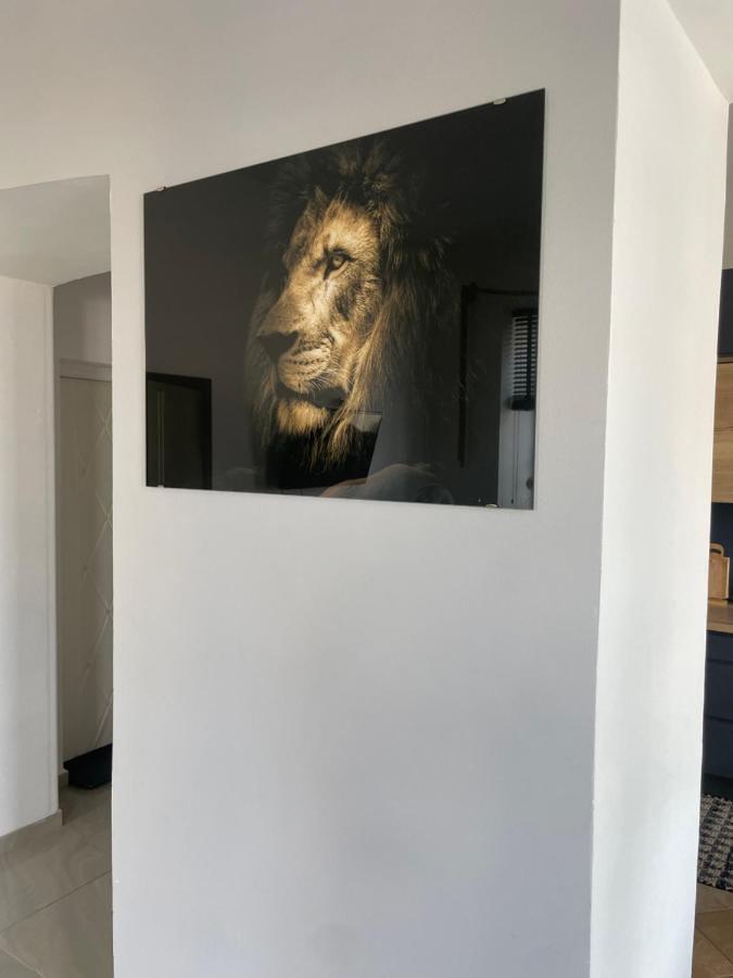 Apartament W Centrum Przy Studni 102M2 Leilighet Chełm Eksteriør bilde