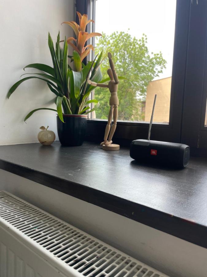 Apartament W Centrum Przy Studni 102M2 Leilighet Chełm Eksteriør bilde